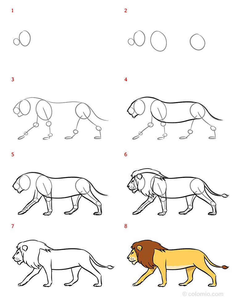 Como Dibujar Un Leon Para Nios Dibujo De Leon Paso A Paso Como Dibujar Un Leon Para Nios Dibujo De Leon Paso A Paso
